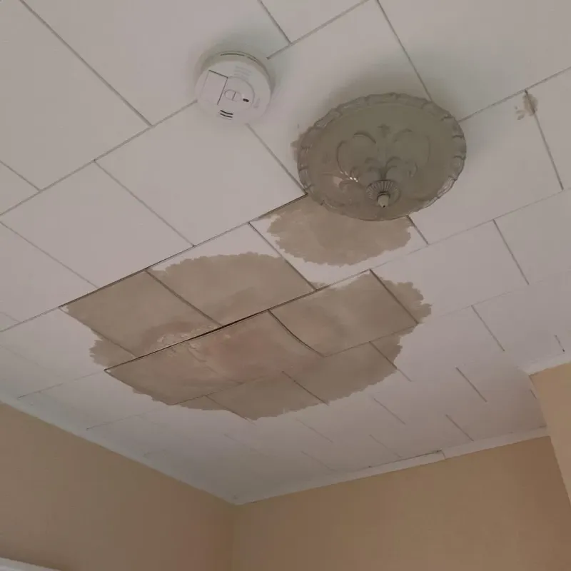Ceiling Water Damage Repair in Cienegas Terrace, TX