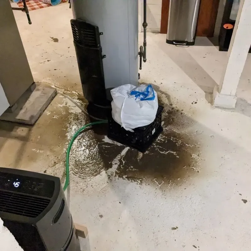 Sewage Backup Cleanup Service in Cienegas Terrace, TX